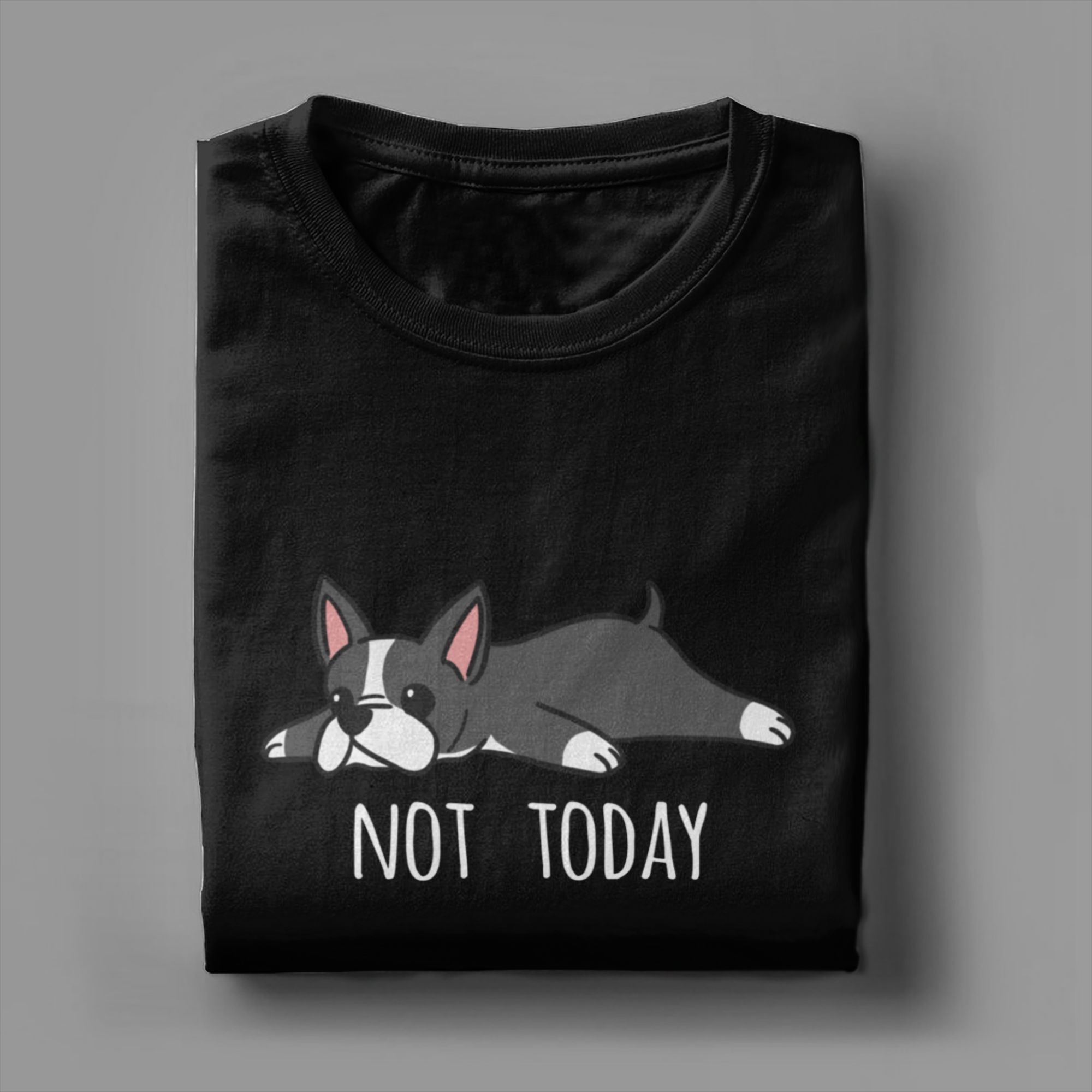 Funny Not Today Boston Terrier - Summer Clothing Ideas Men incelemesi ve fiyatı